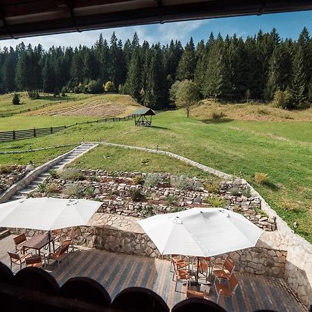 Conacul Domnitei Hotel Voronet Zewnętrze zdjęcie