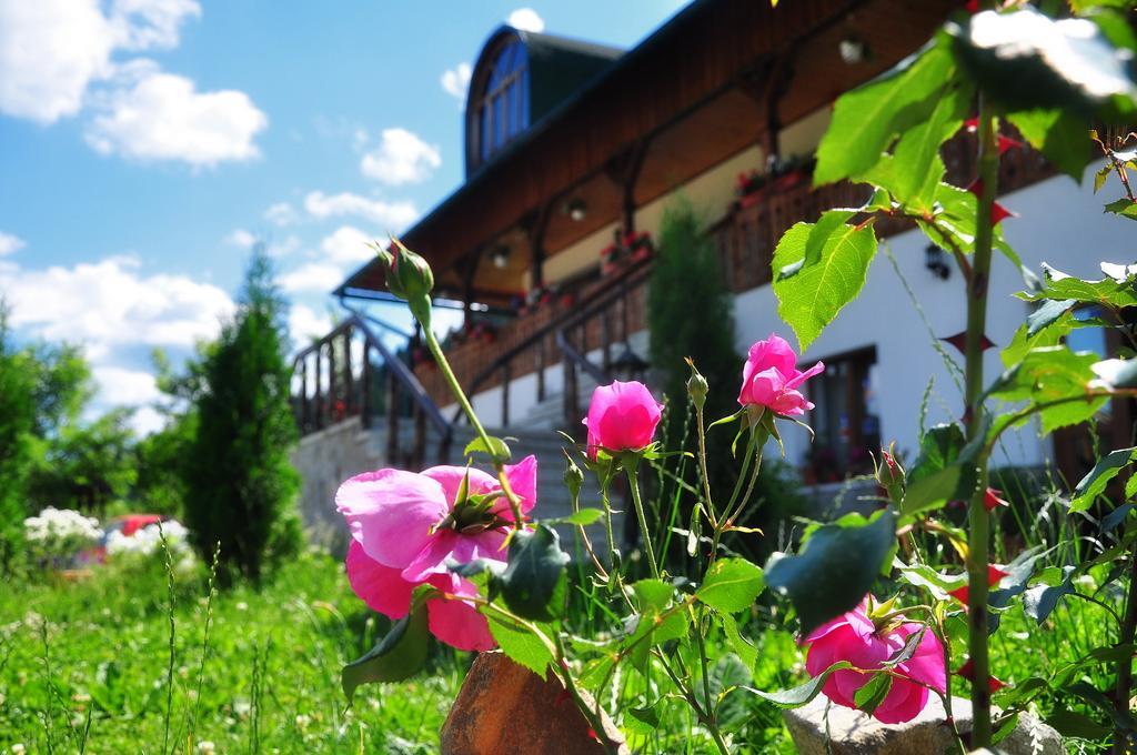 Conacul Domnitei Hotel Voronet Zewnętrze zdjęcie