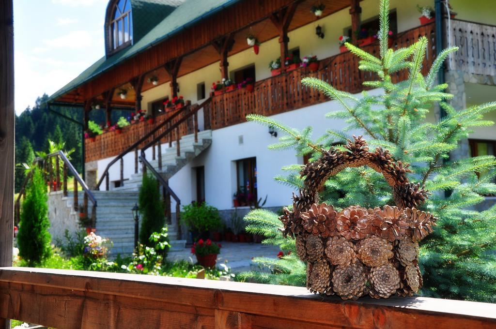 Conacul Domnitei Hotel Voronet Zewnętrze zdjęcie
